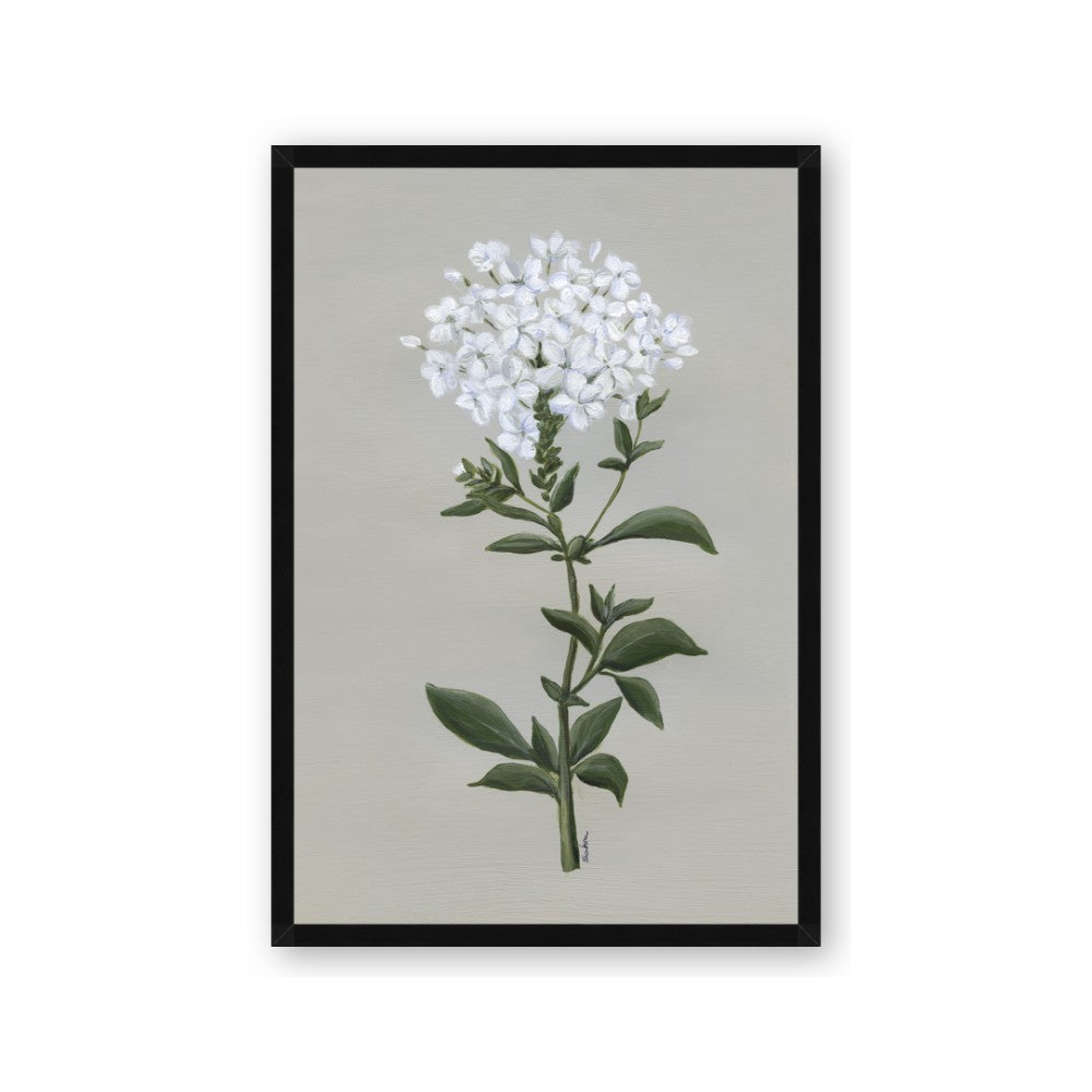 White flower I