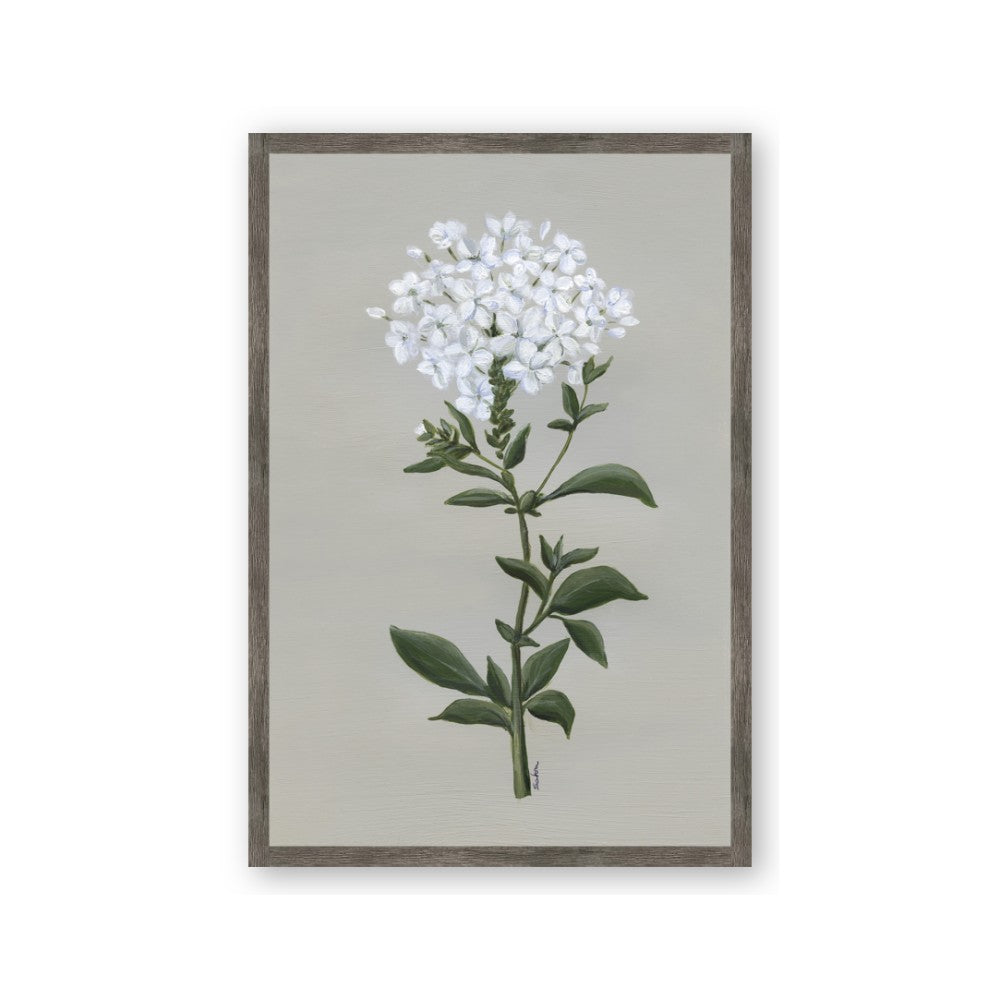 White flower I