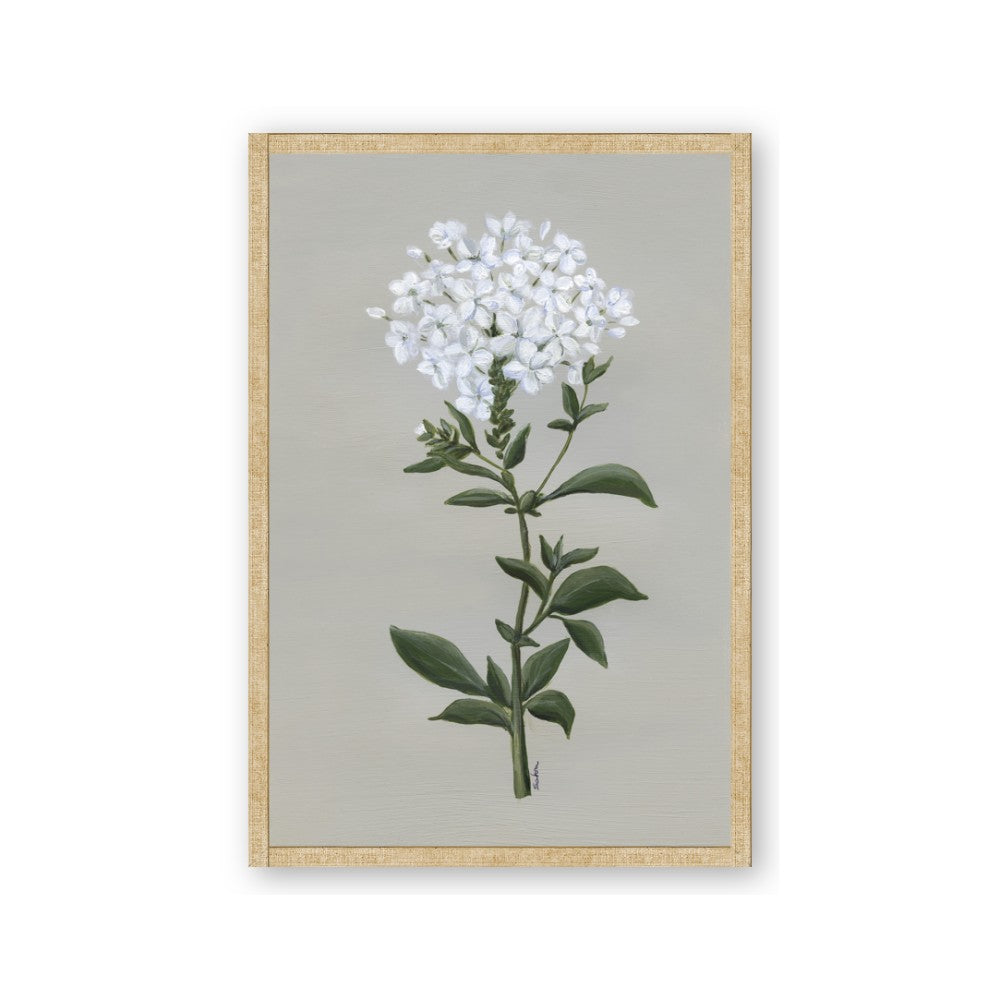 White flower I