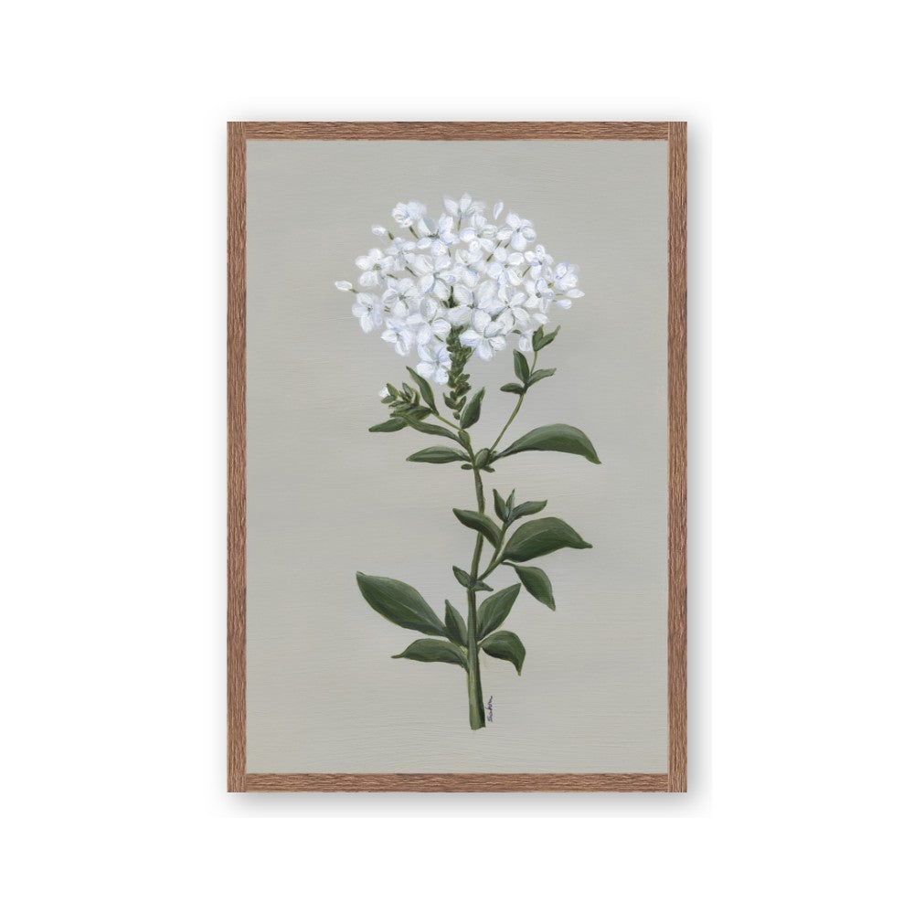 White flower I