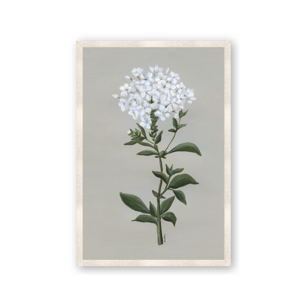 White flower I