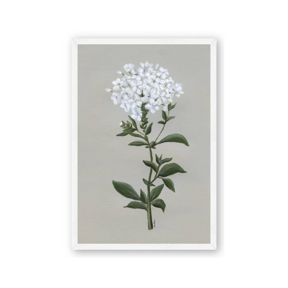 White flower I