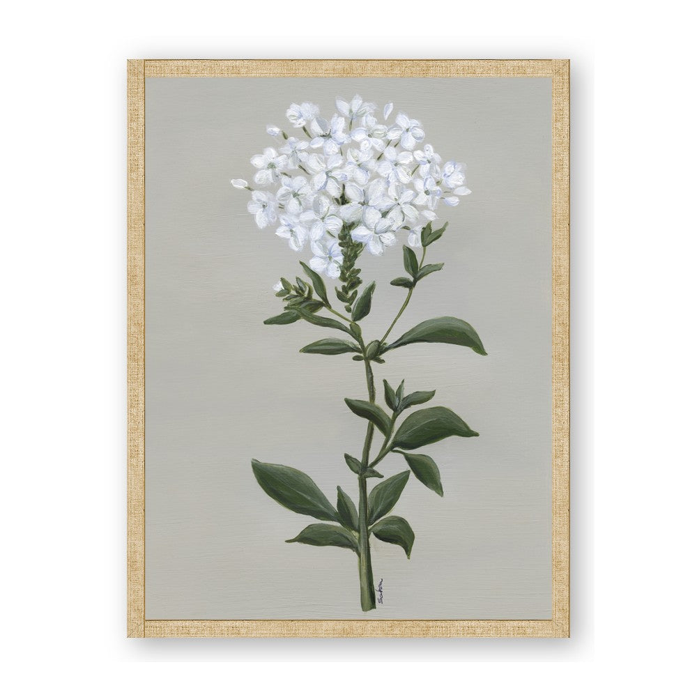 White flower I