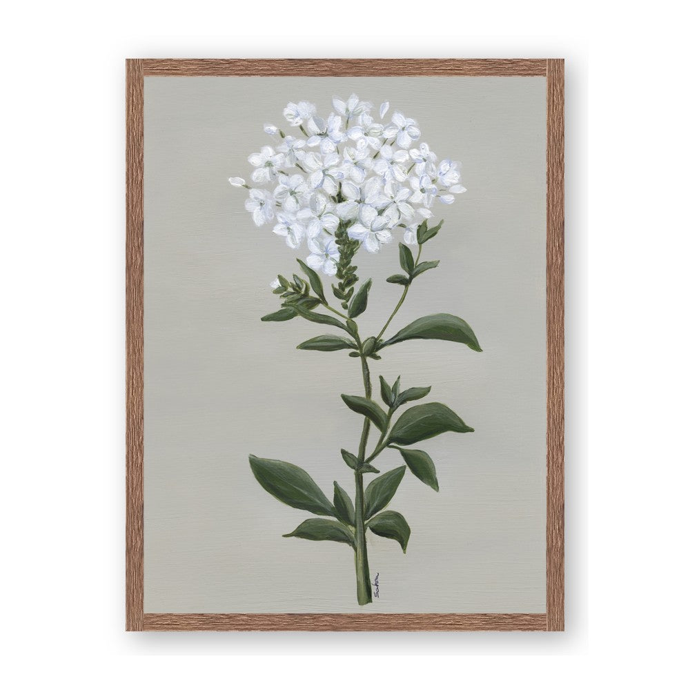 White flower I