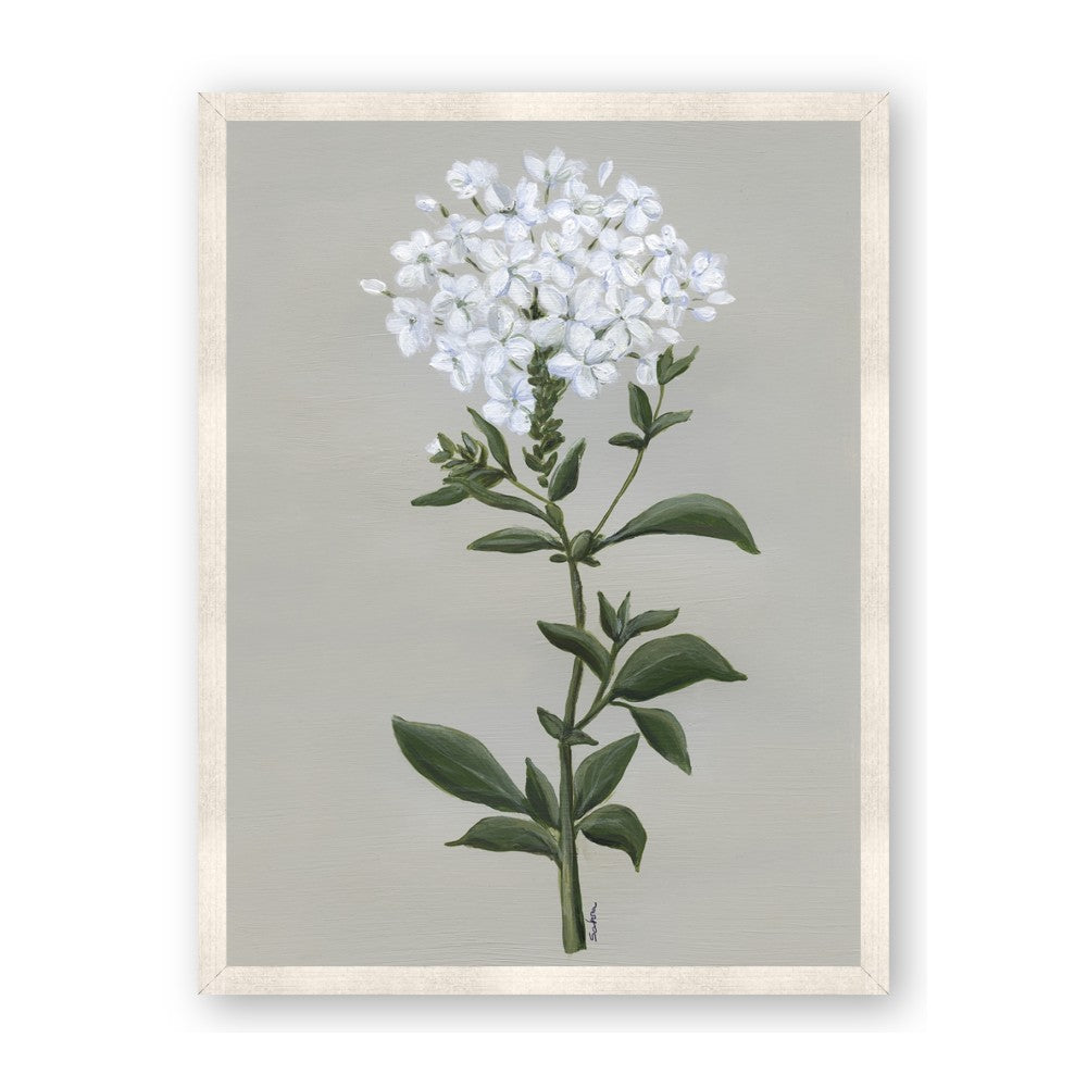 White flower I
