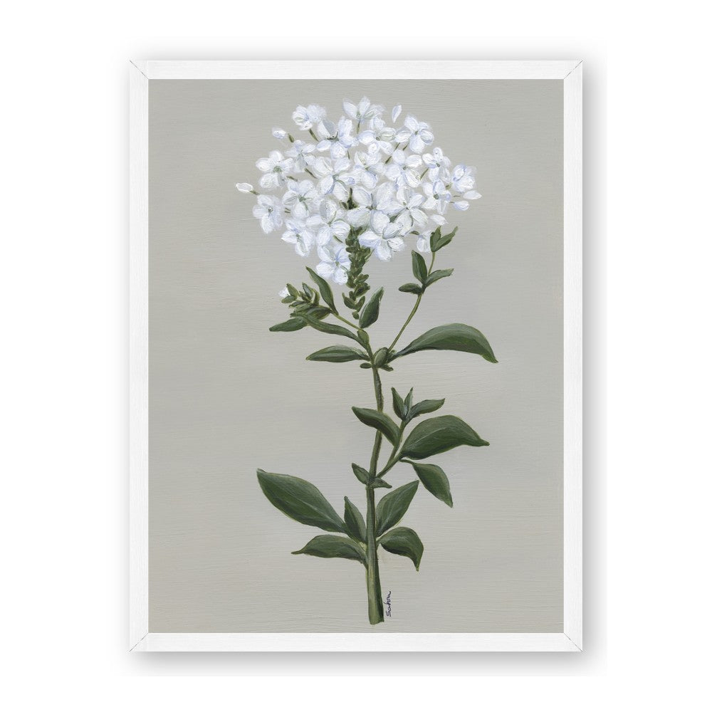 White flower I