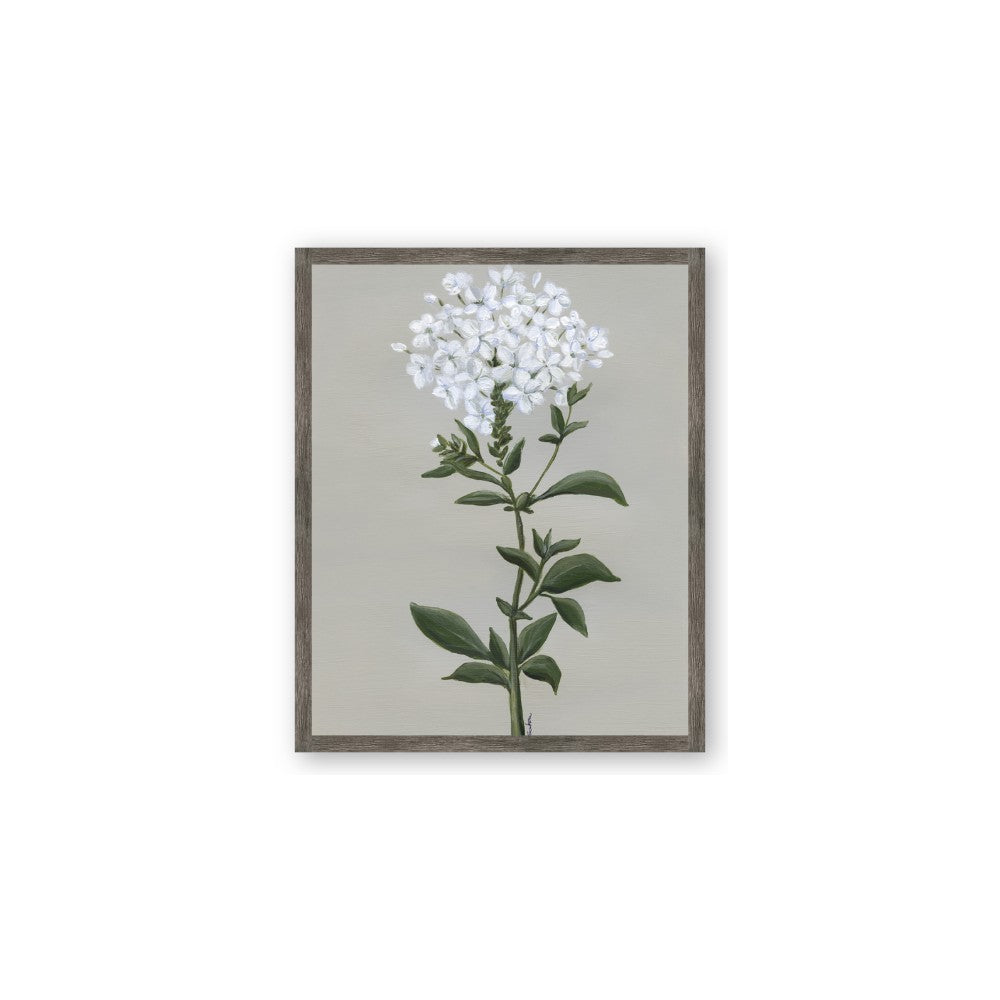 White flower I