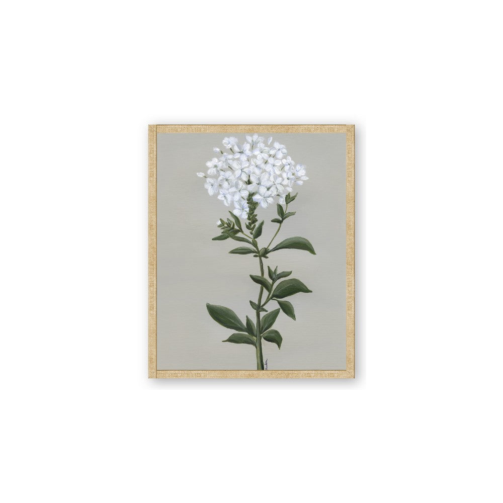 White flower I