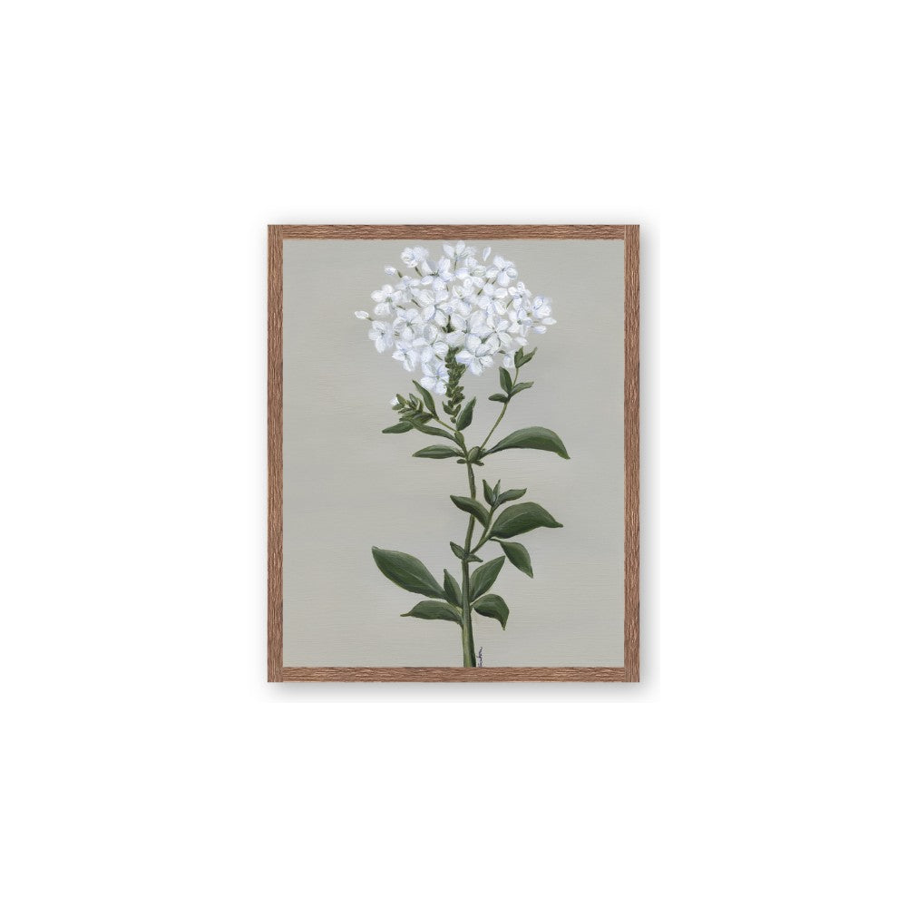 White flower I