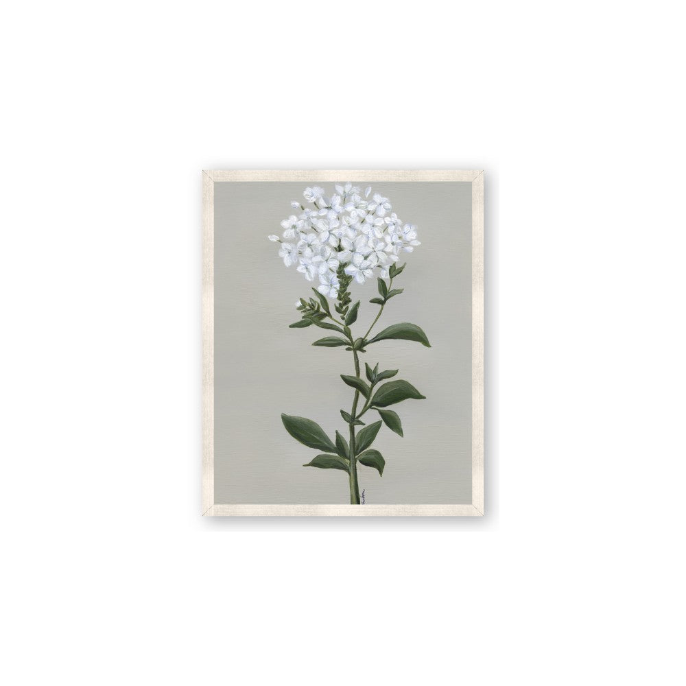 White flower I