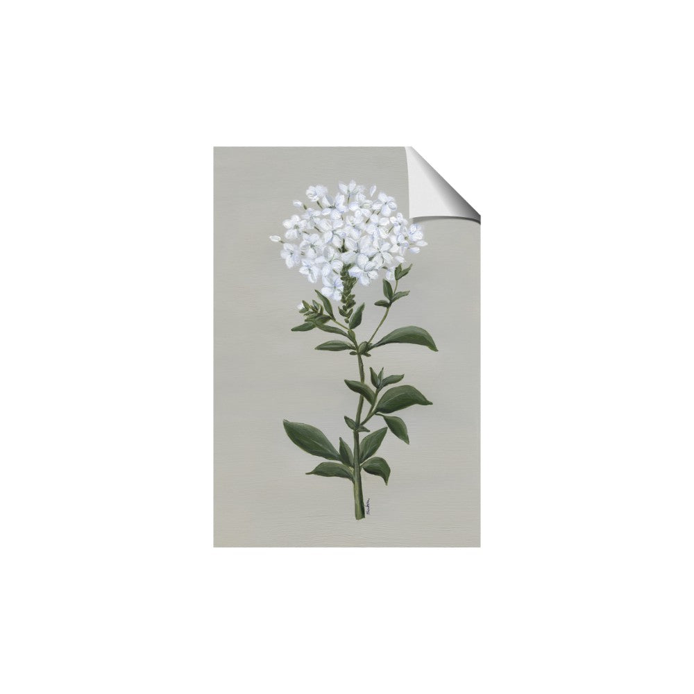 White flower I