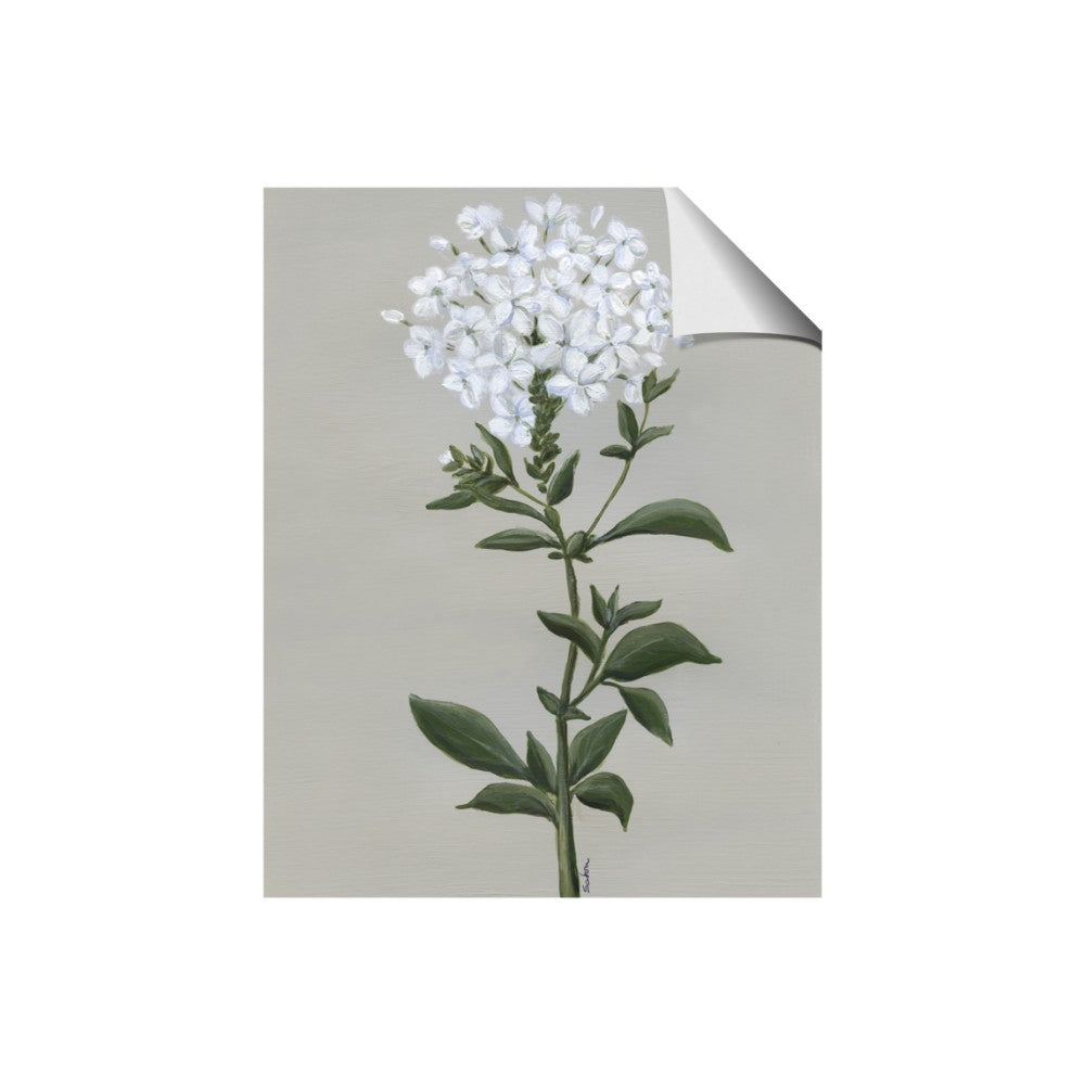 White flower I