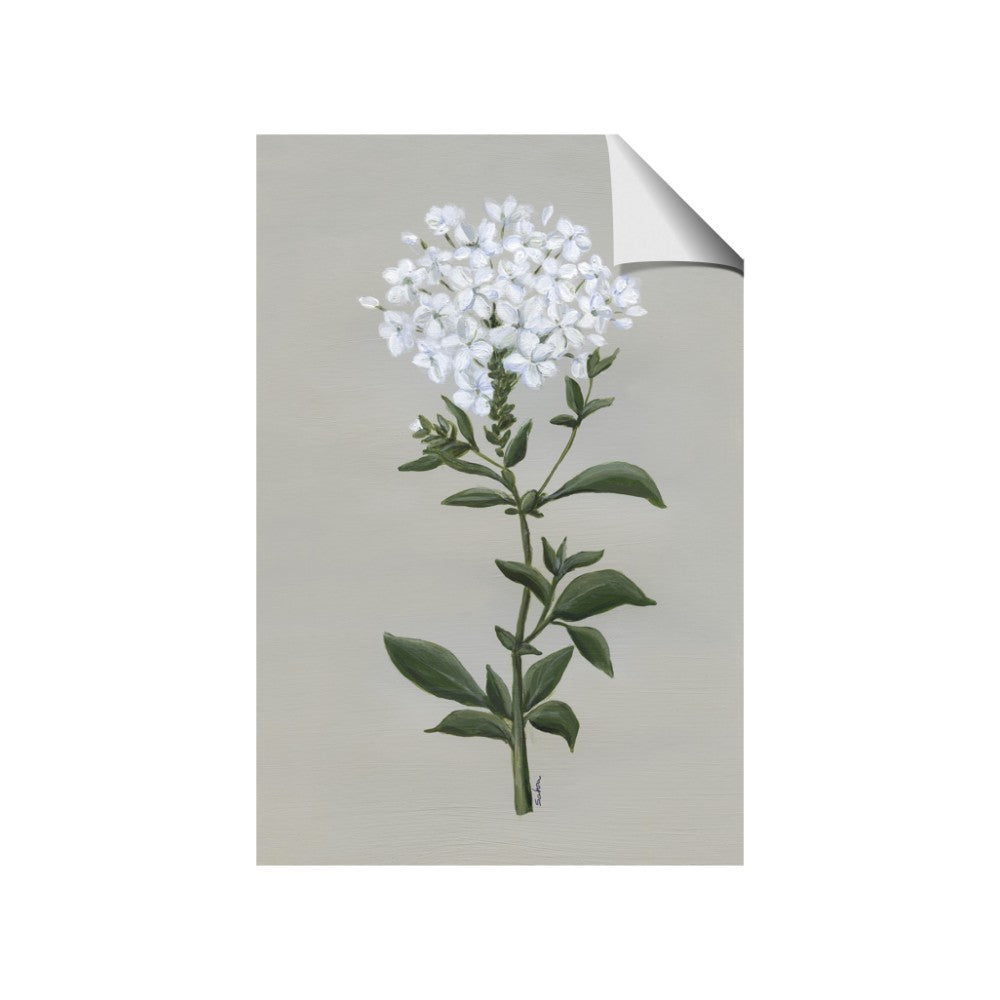 White flower I
