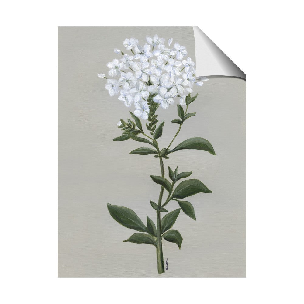 White flower I