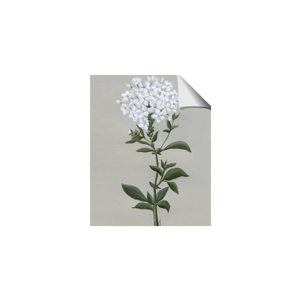 White flower I