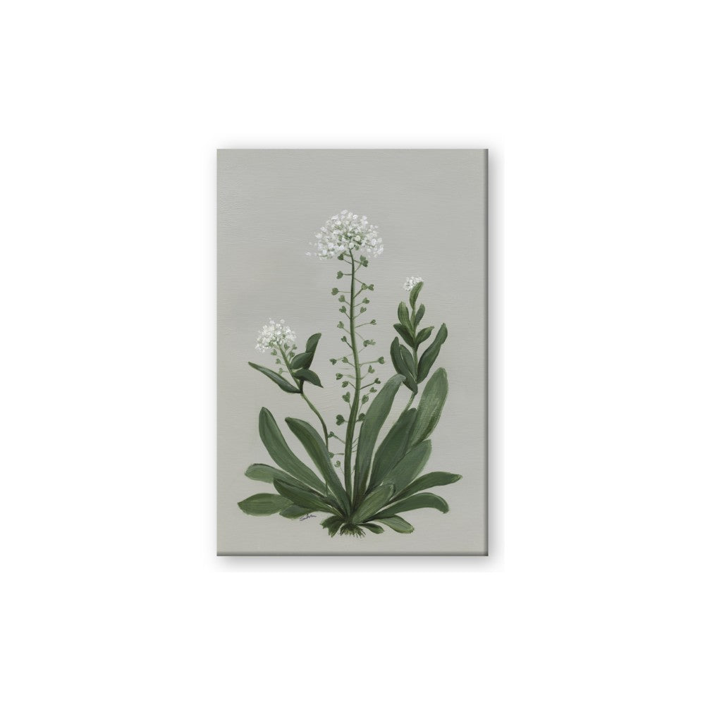 White flower II