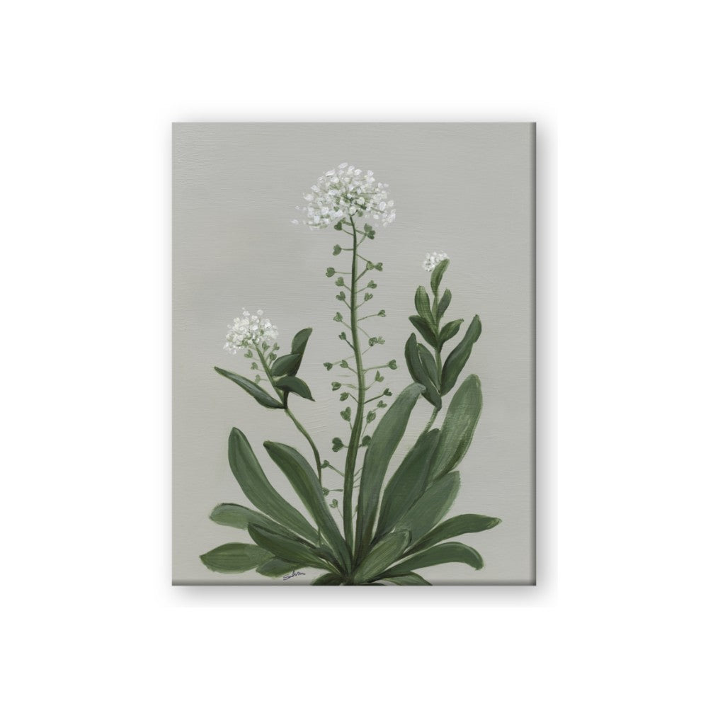 White flower II