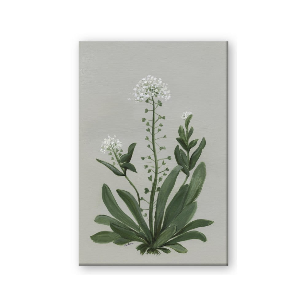 White flower II
