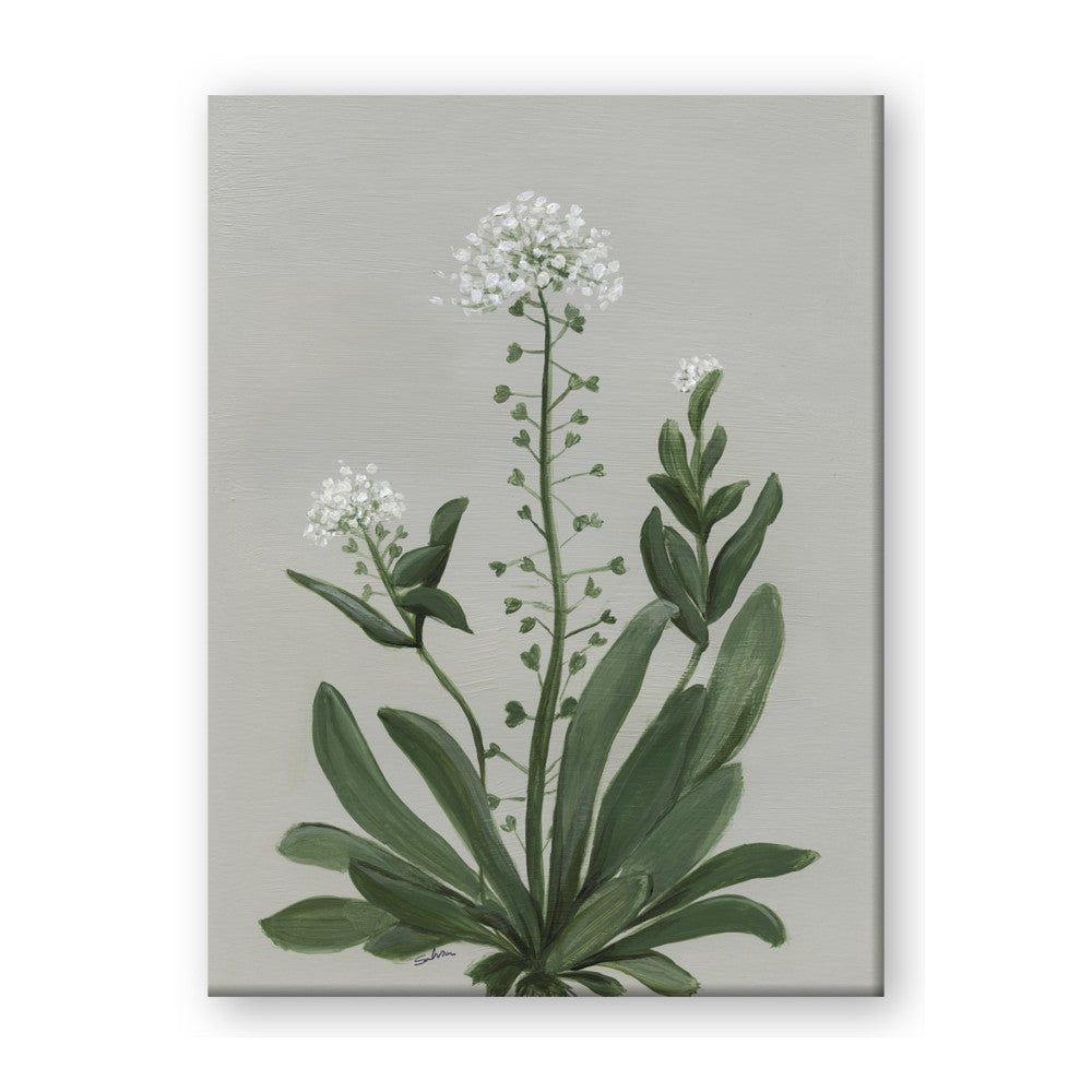 White flower II