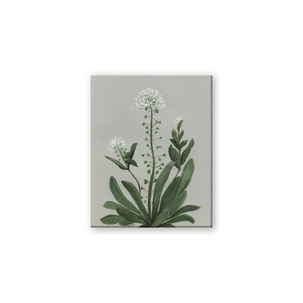 White flower II