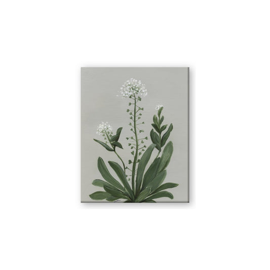 White flower II