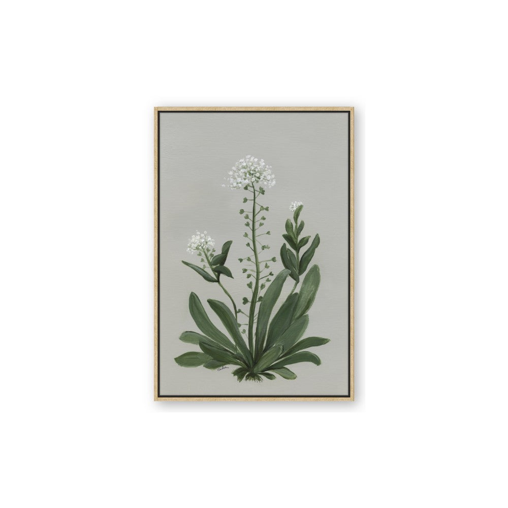 White flower II
