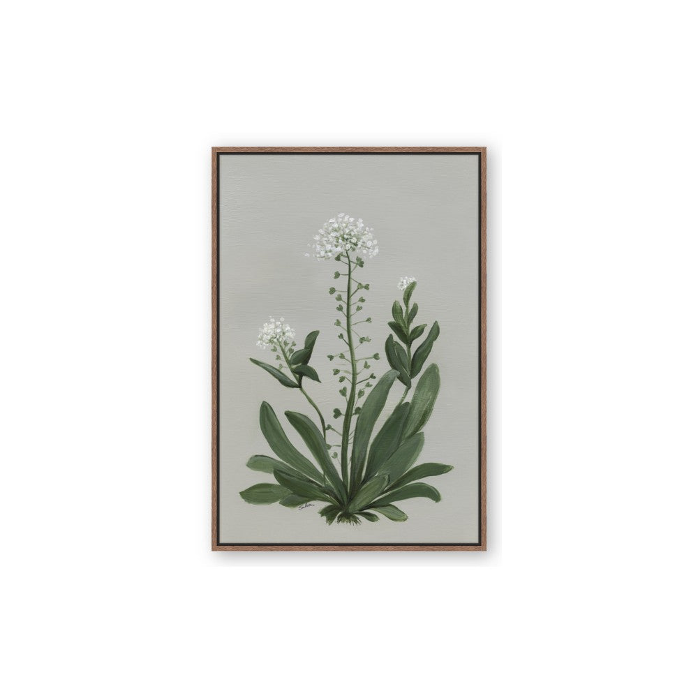 White flower II