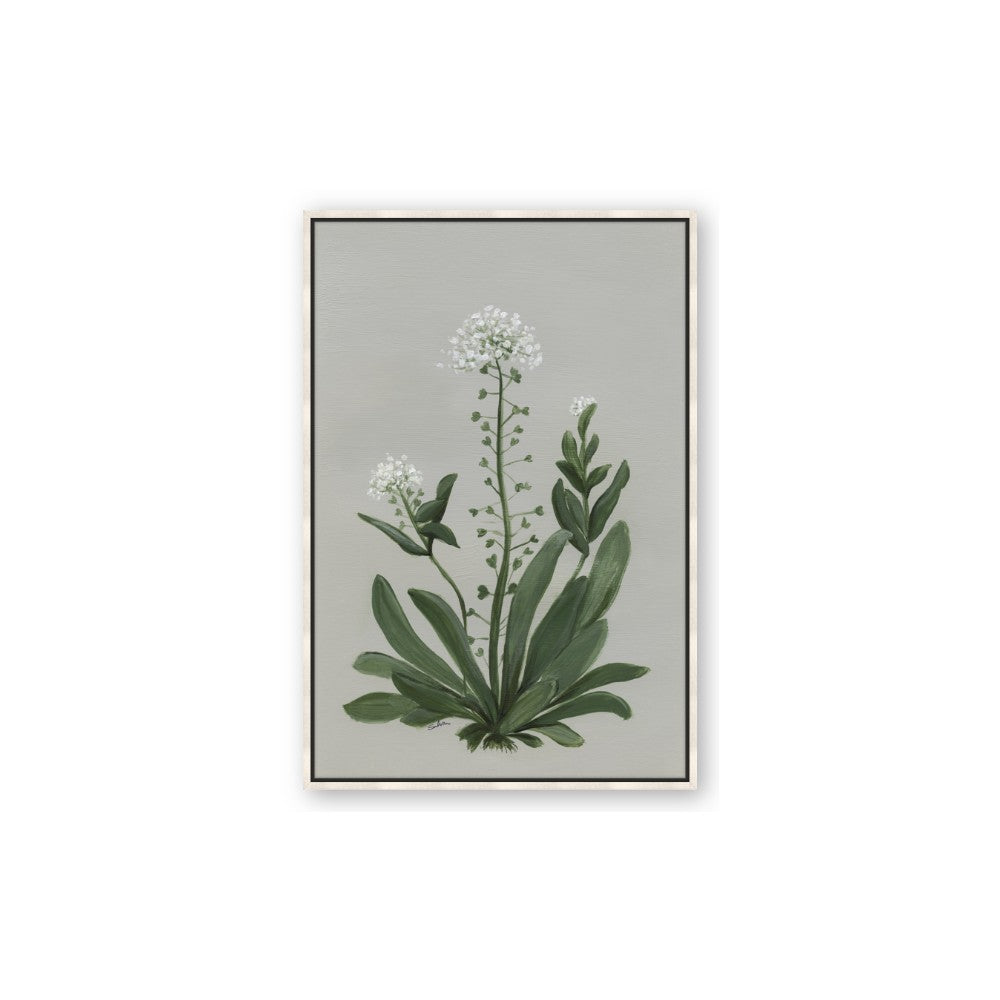 White flower II