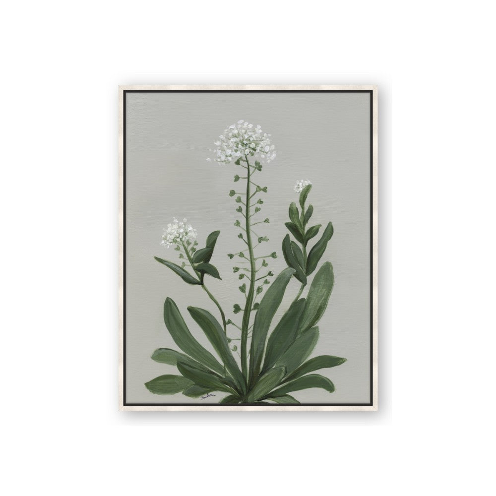 White flower II