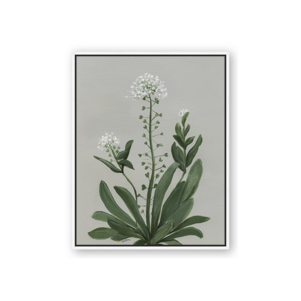 White flower II