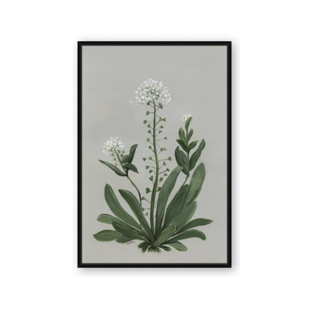White flower II