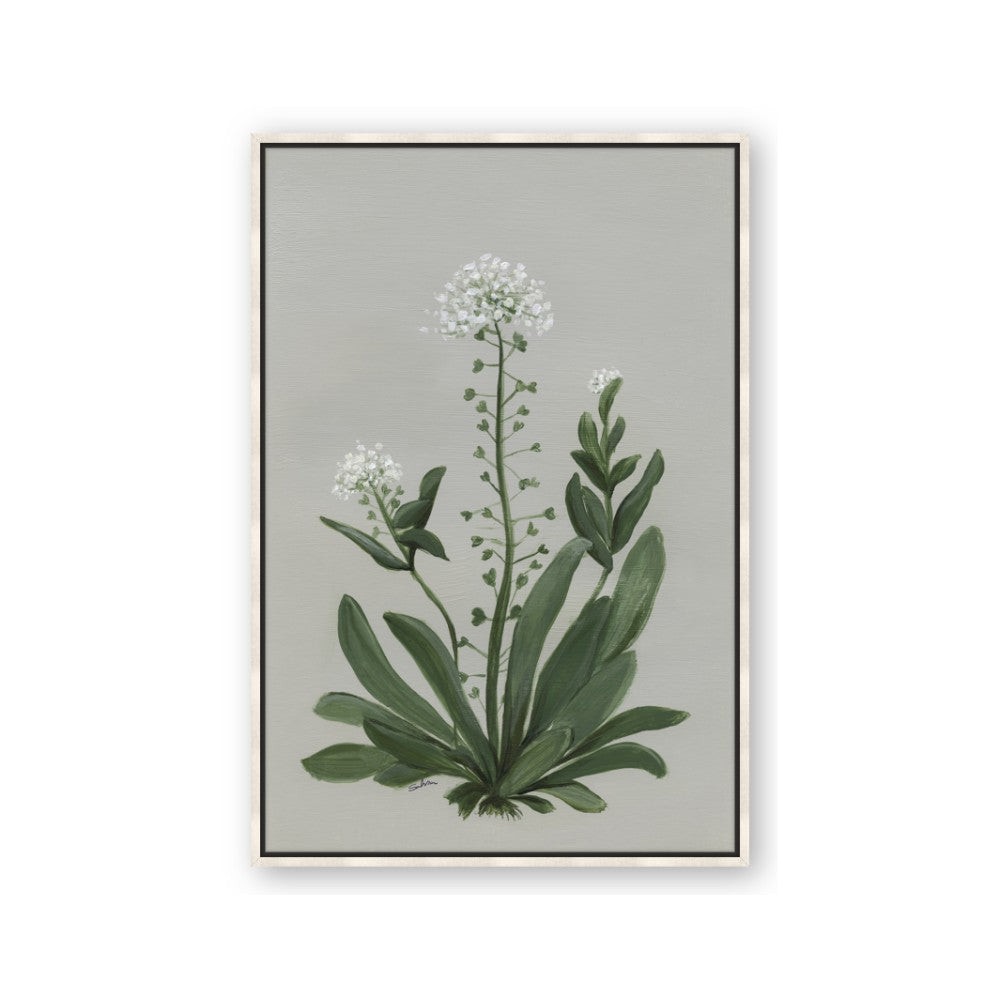 White flower II