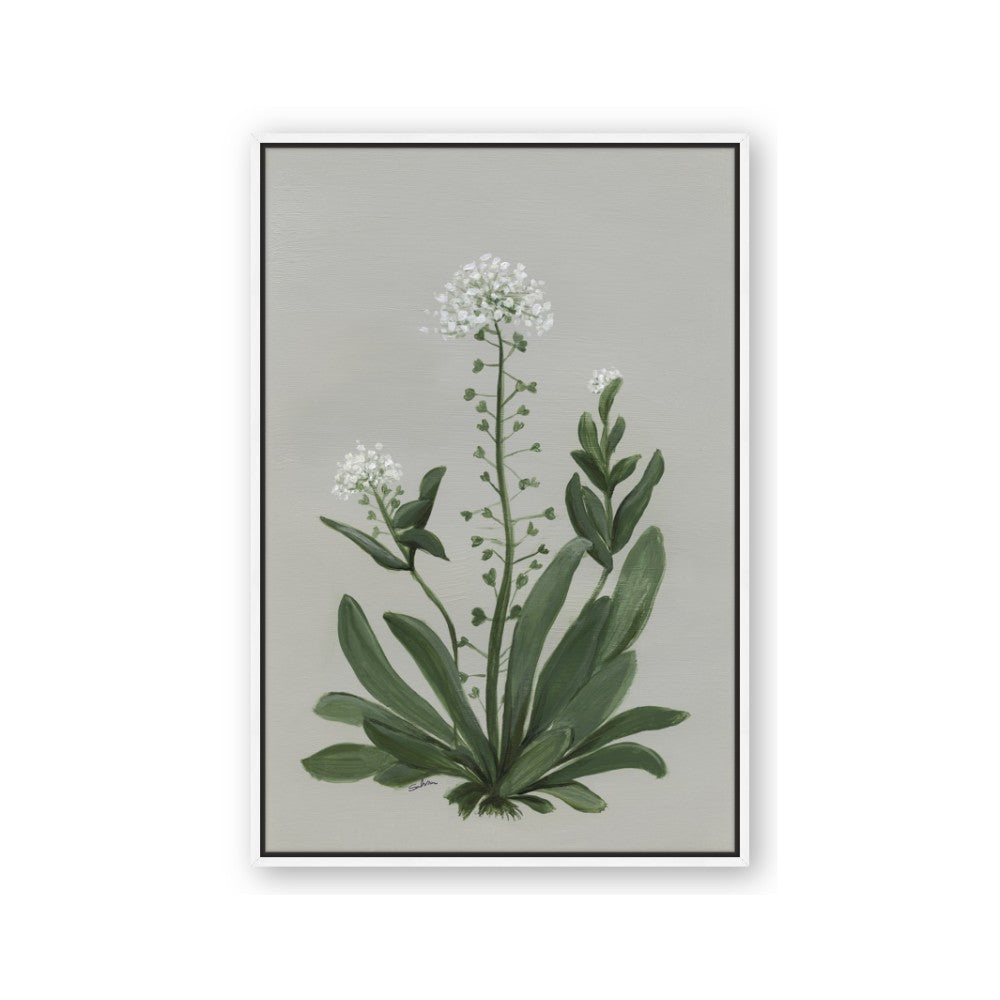 White flower II