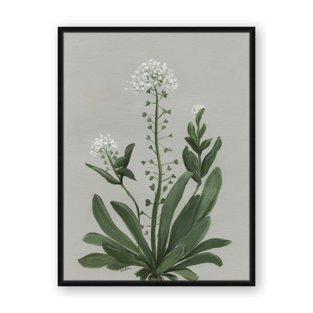White flower II