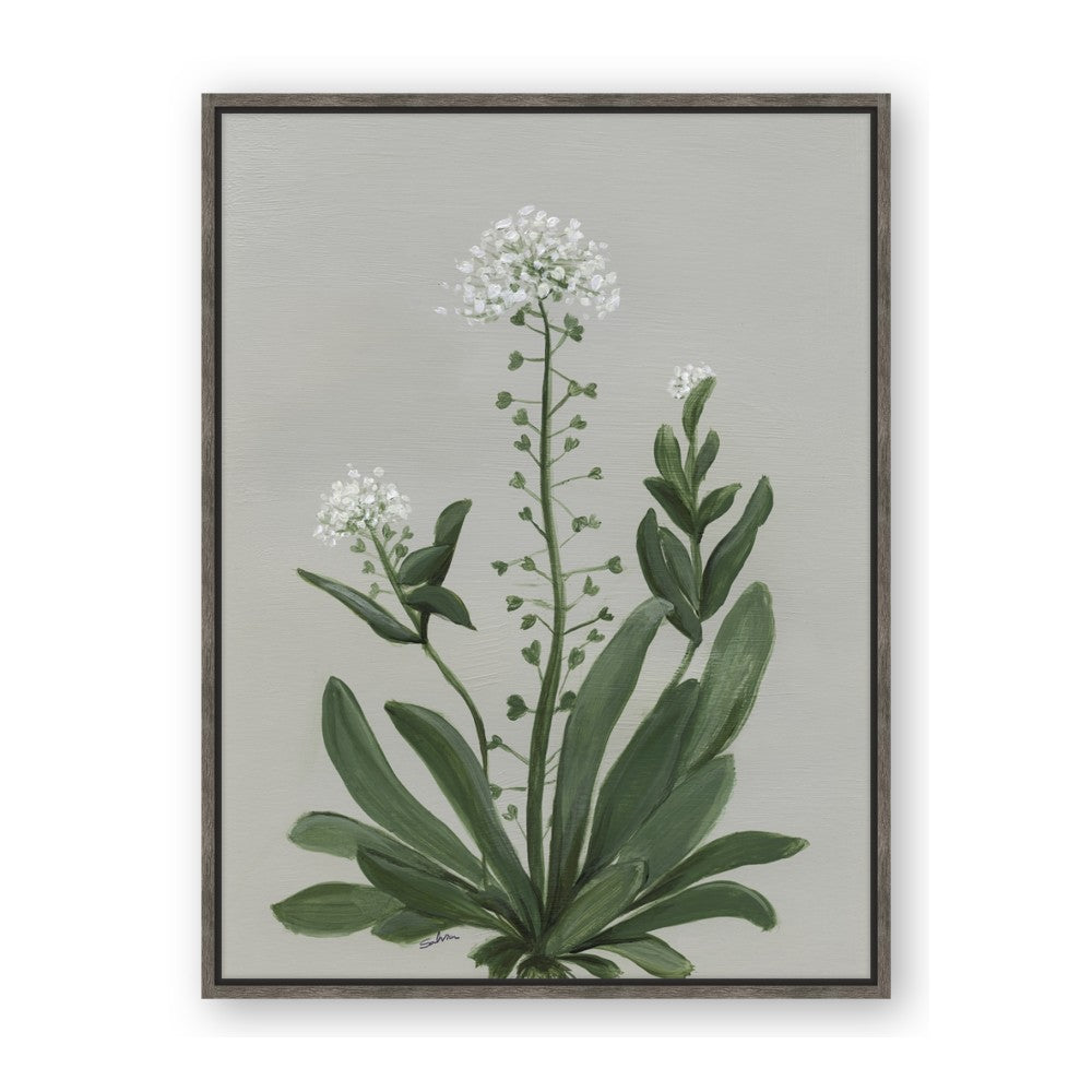 White flower II
