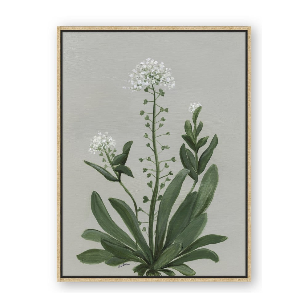 White flower II