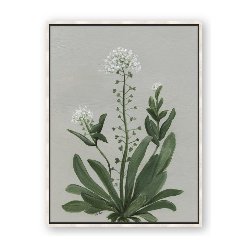 White flower II