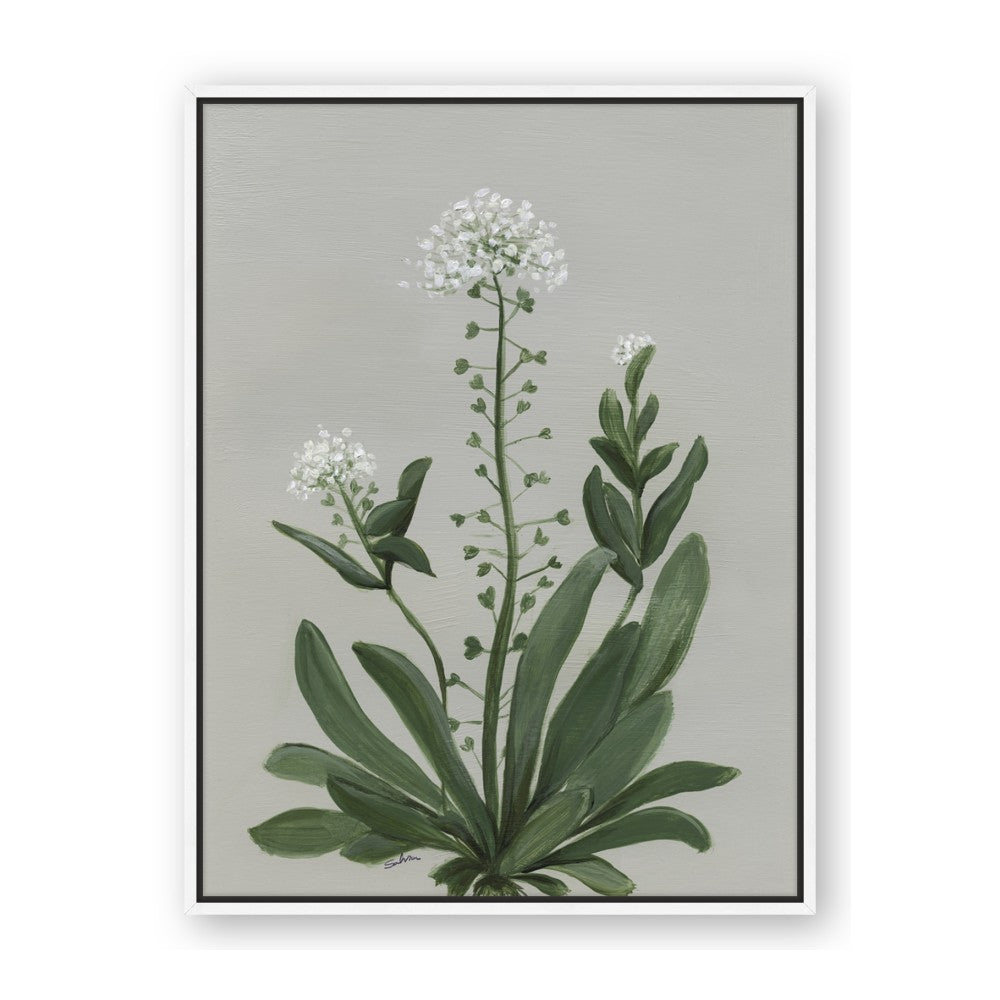 White flower II