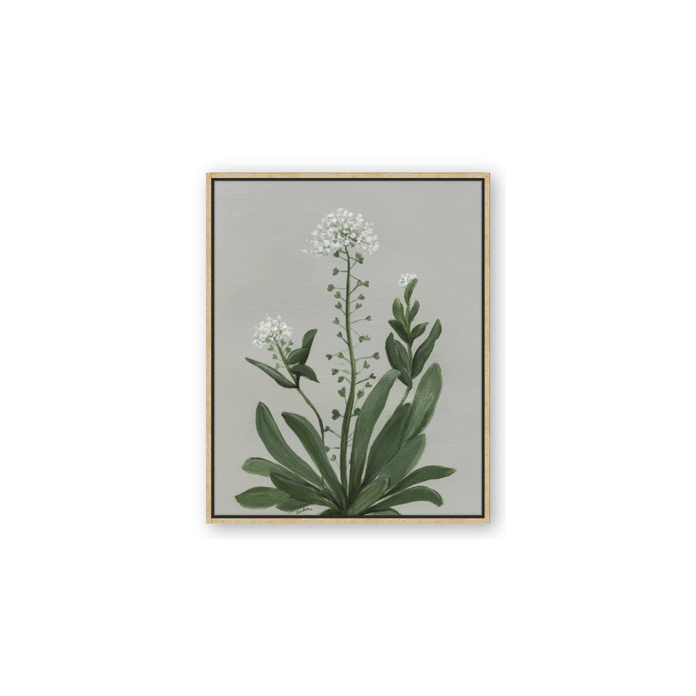 White flower II