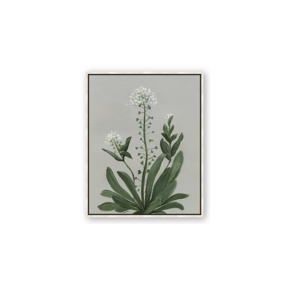 White flower II