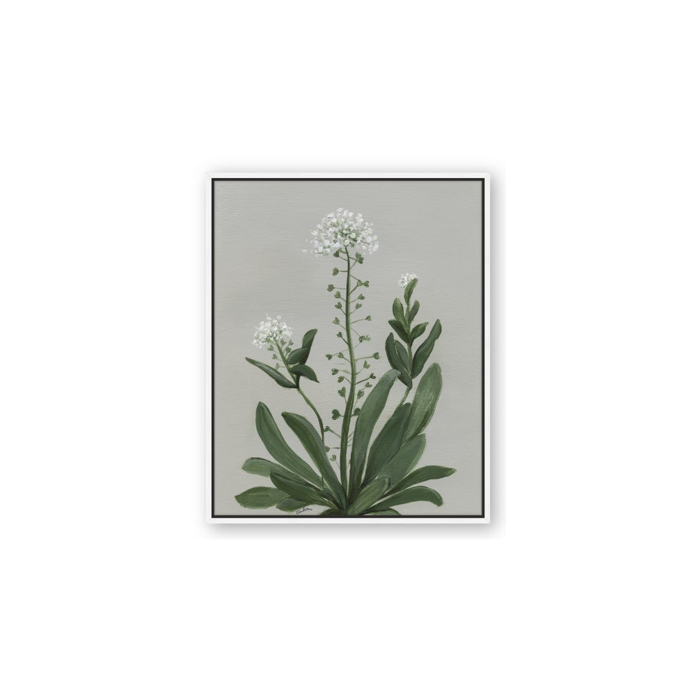 White flower II