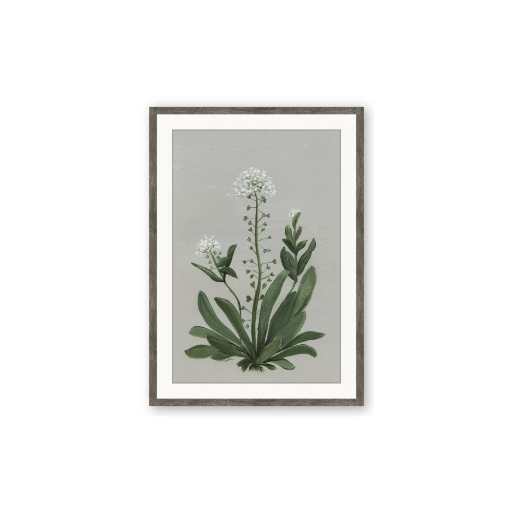 White flower II