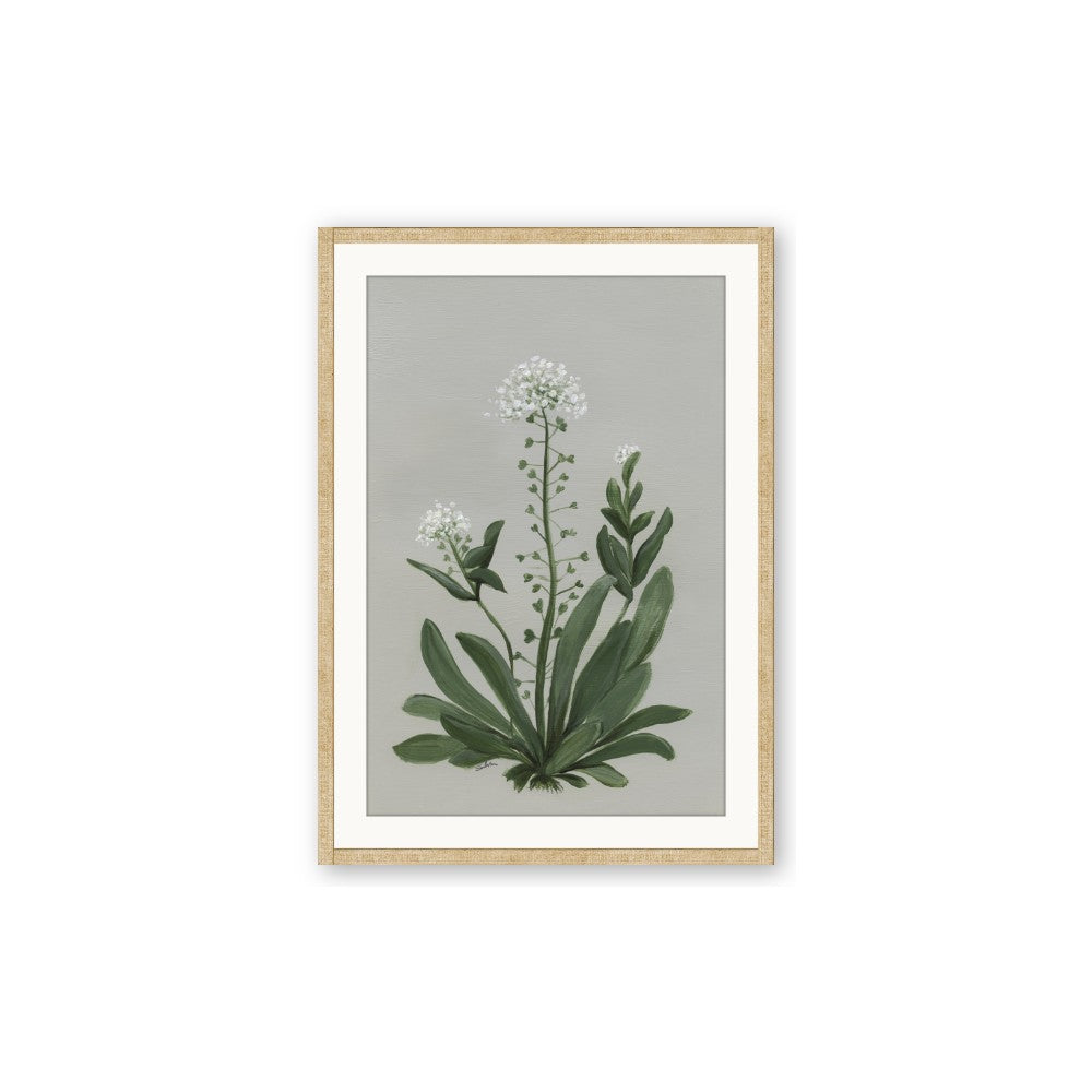 White flower II