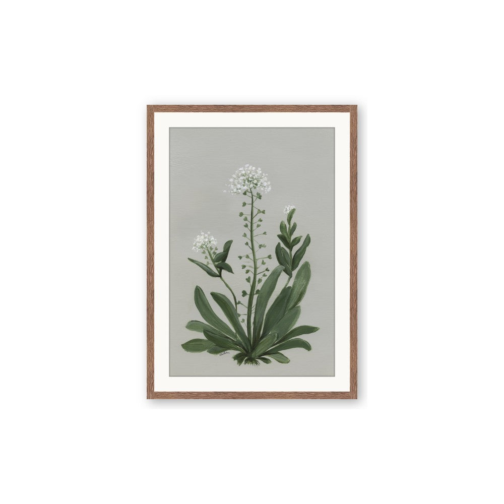 White flower II