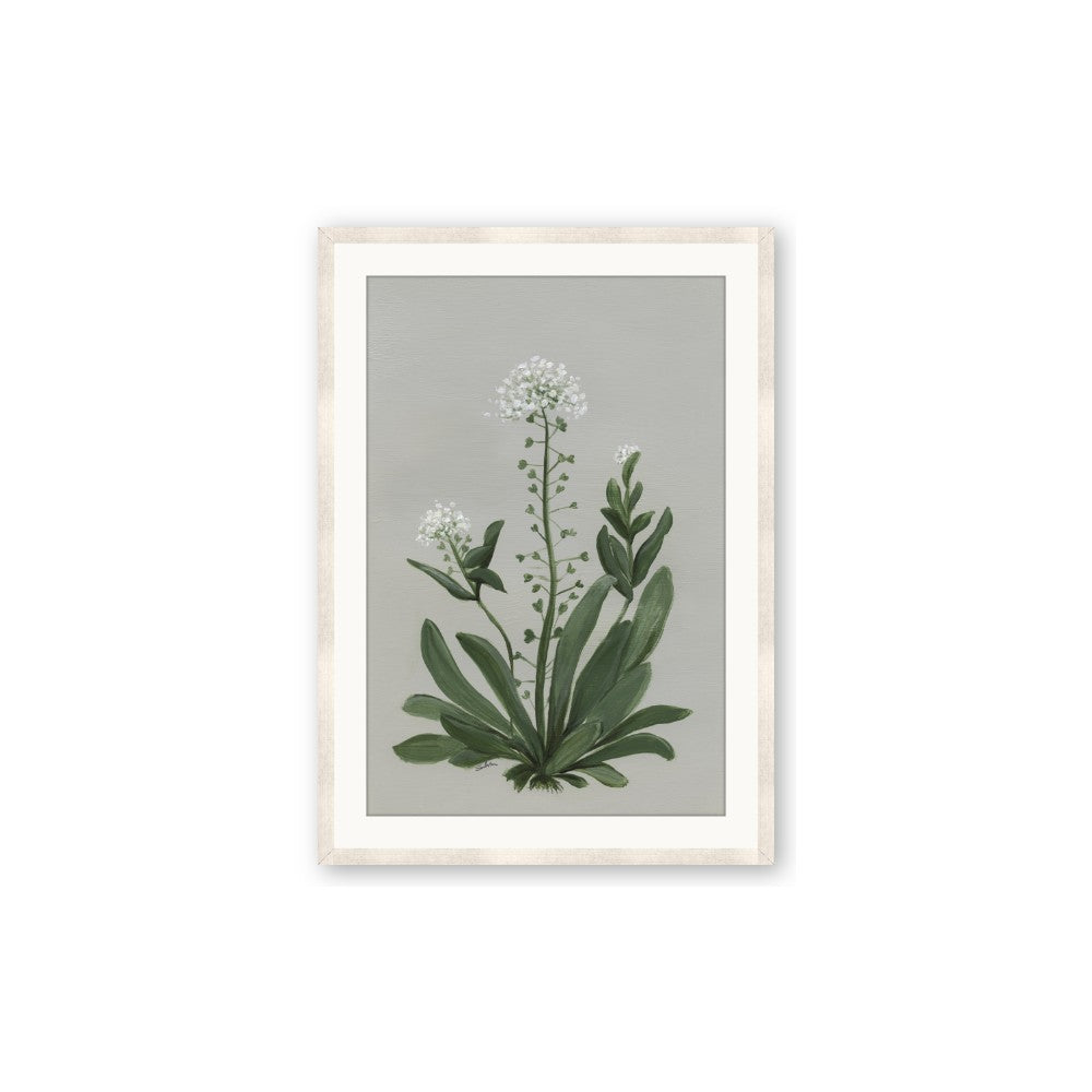 White flower II