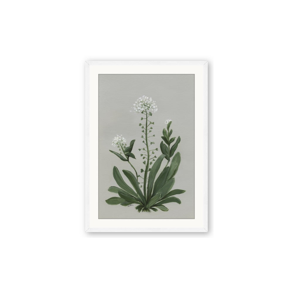 White flower II