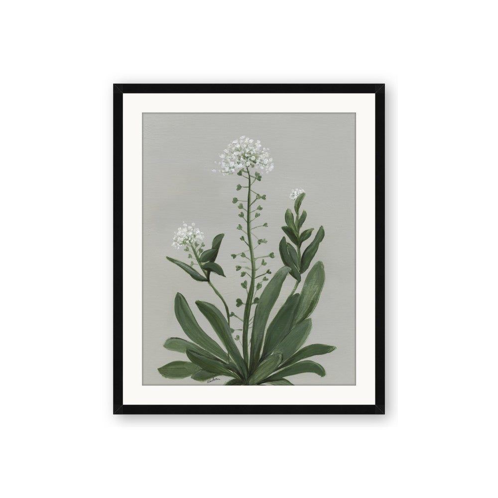 White flower II