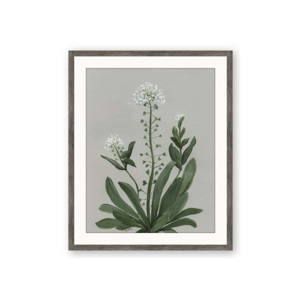 White flower II