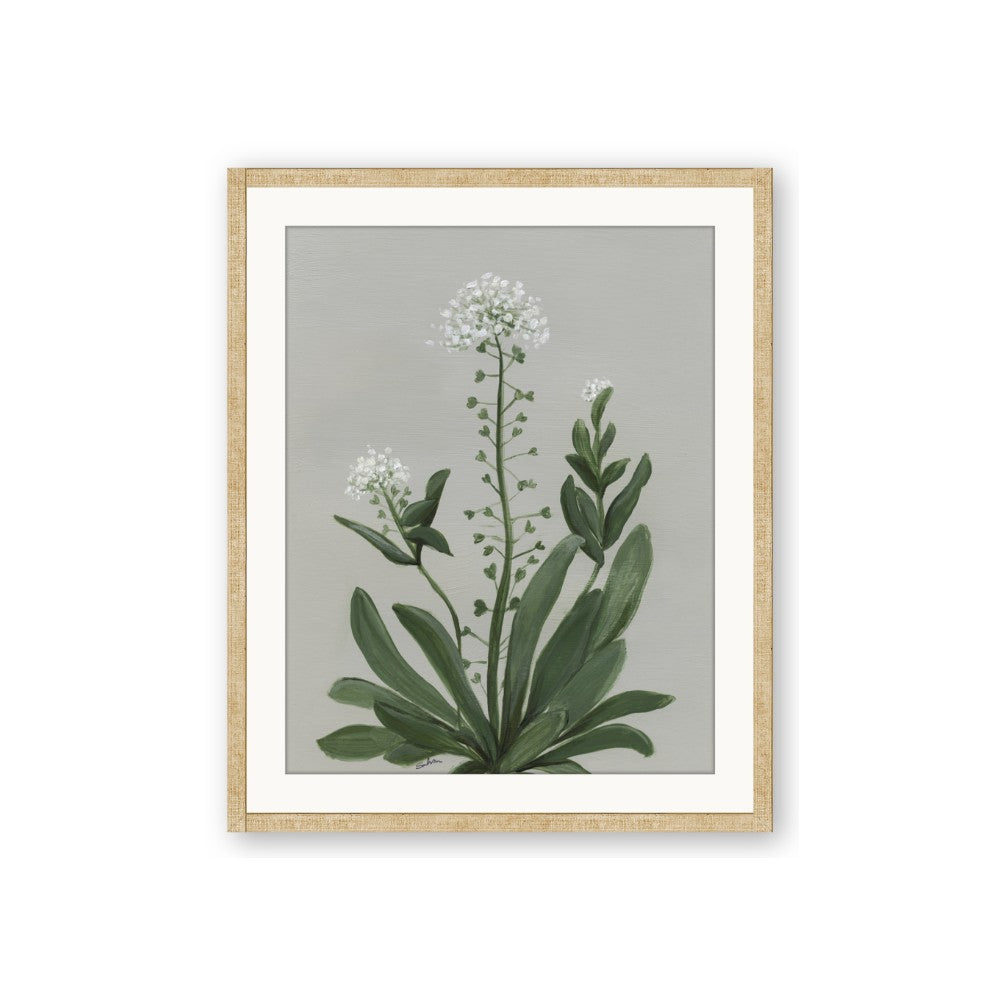 White flower II