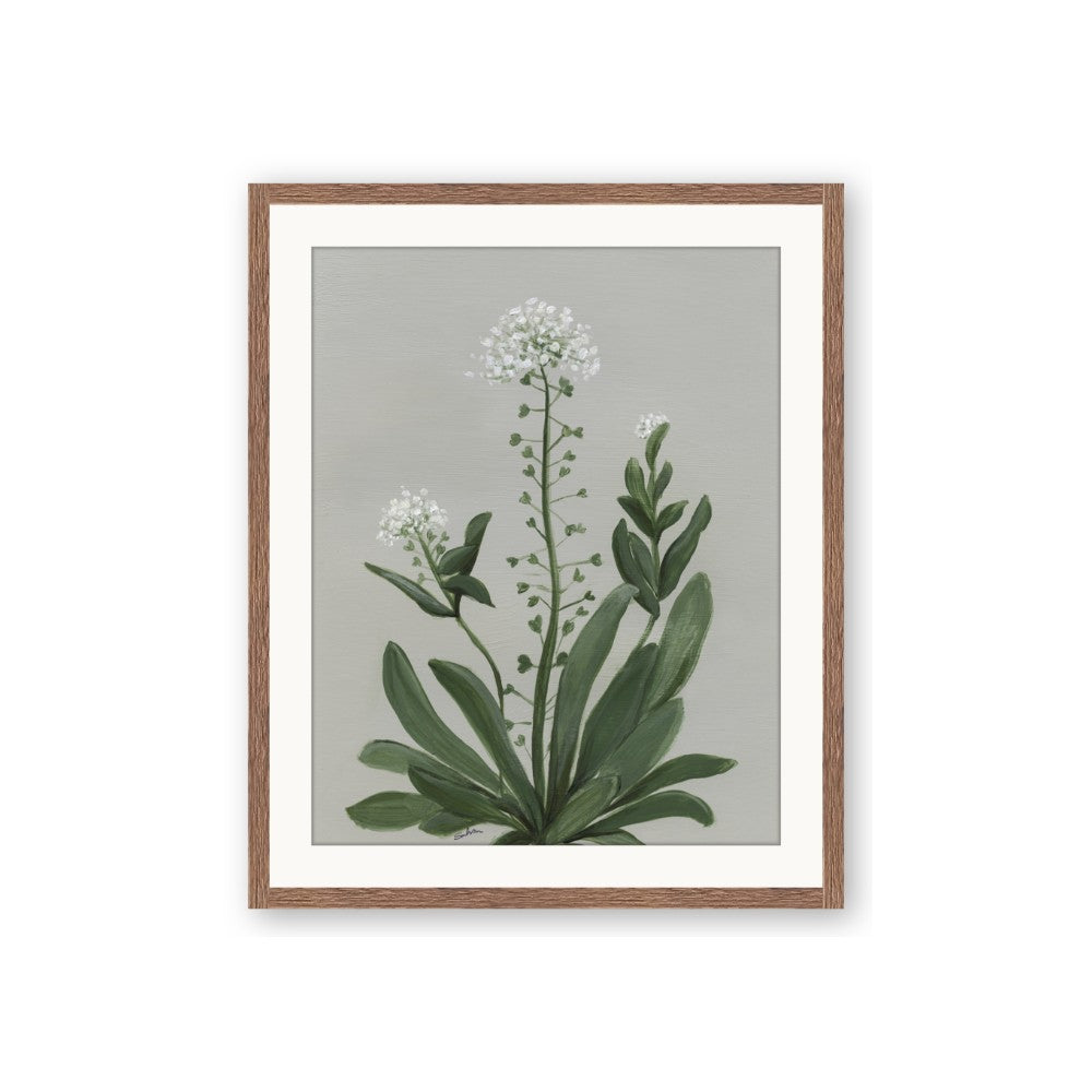 White flower II